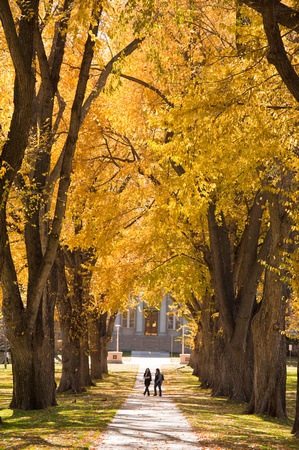 The Oval at Colorado State University